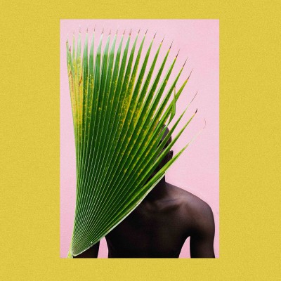 OGUNBANWO - Palm Frond